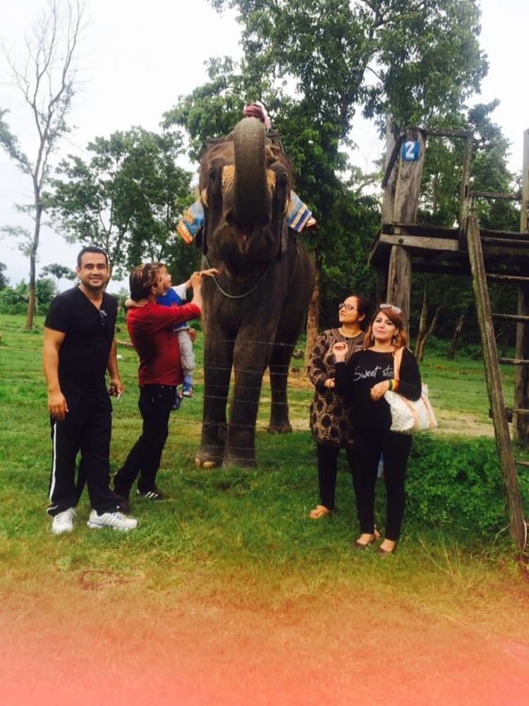 Jungle Sunset Camp Hotel Sauraha Luaran gambar