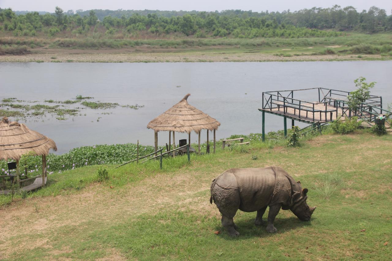 Jungle Sunset Camp Hotel Sauraha Luaran gambar