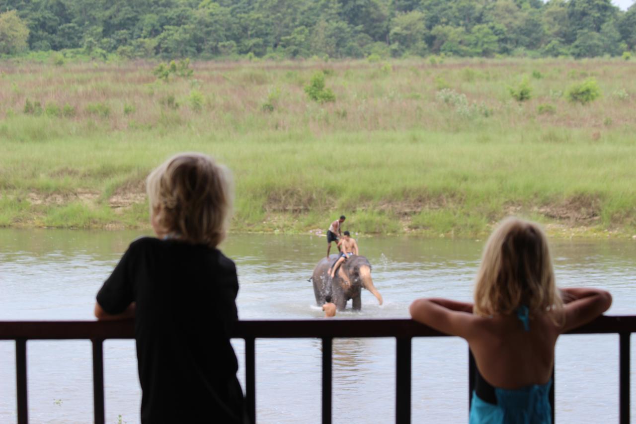 Jungle Sunset Camp Hotel Sauraha Luaran gambar