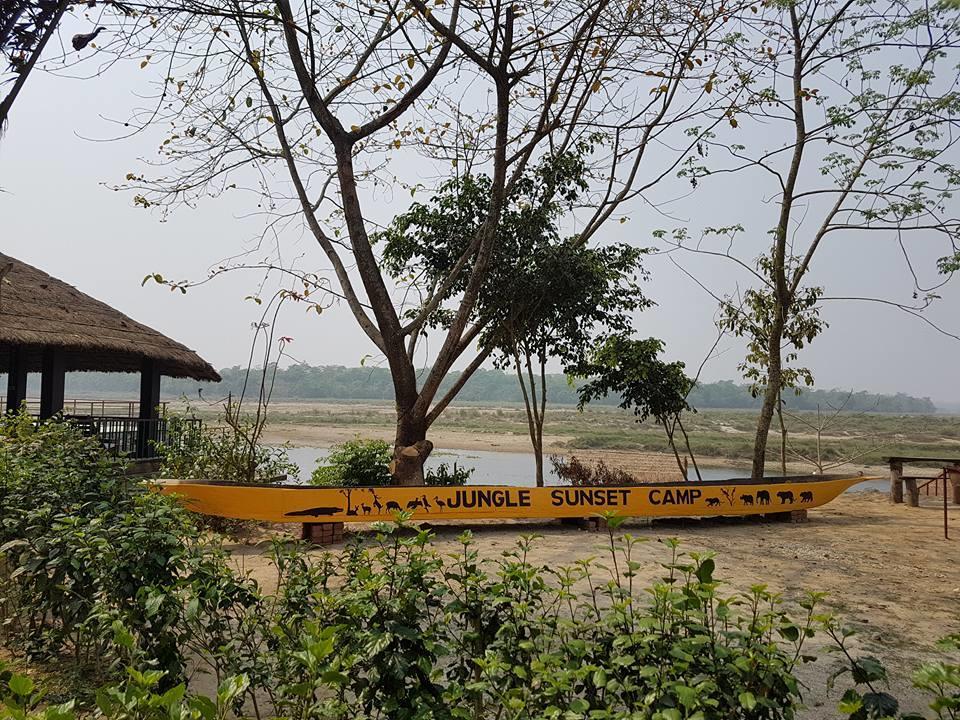 Jungle Sunset Camp Hotel Sauraha Luaran gambar