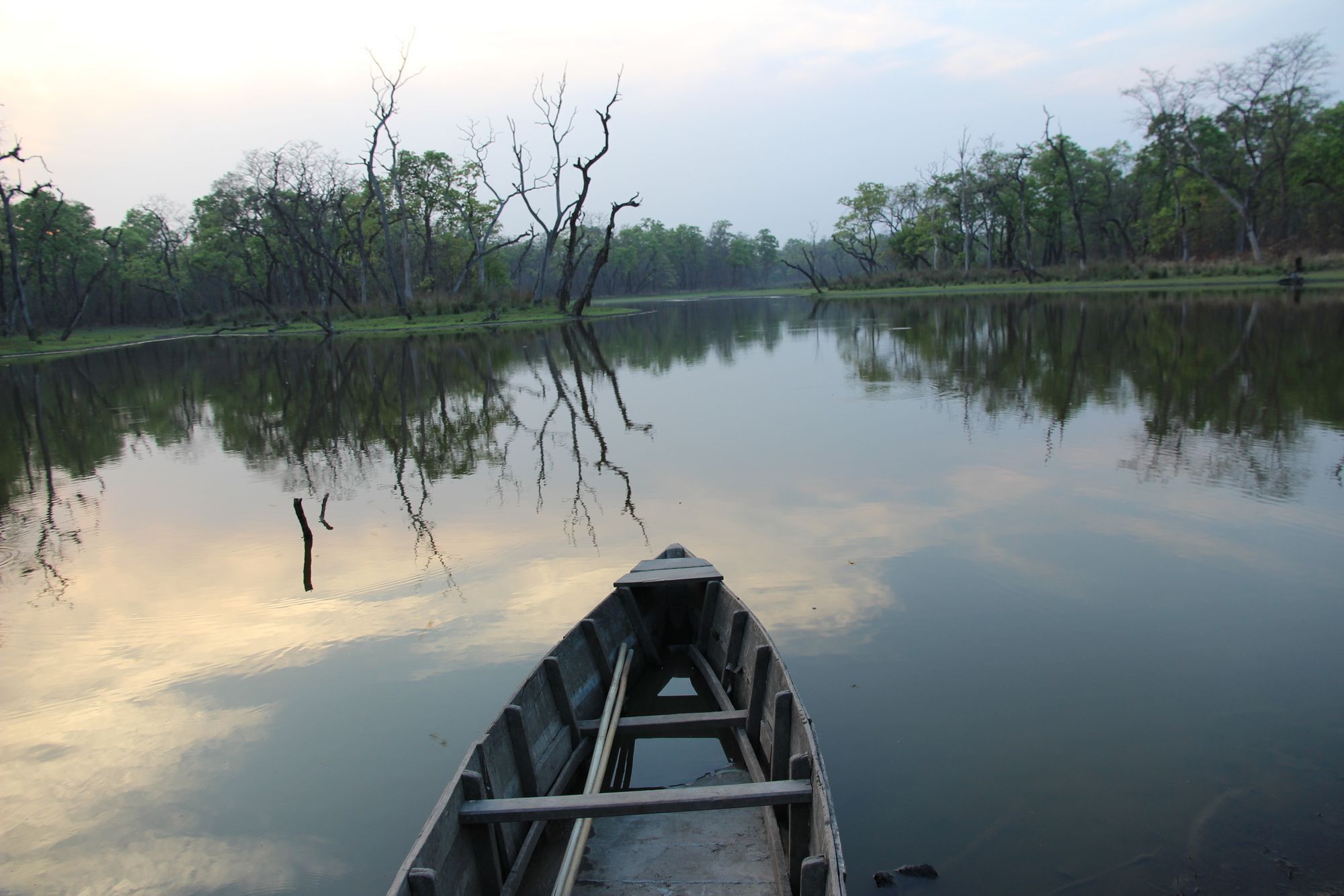 Jungle Sunset Camp Hotel Sauraha Luaran gambar