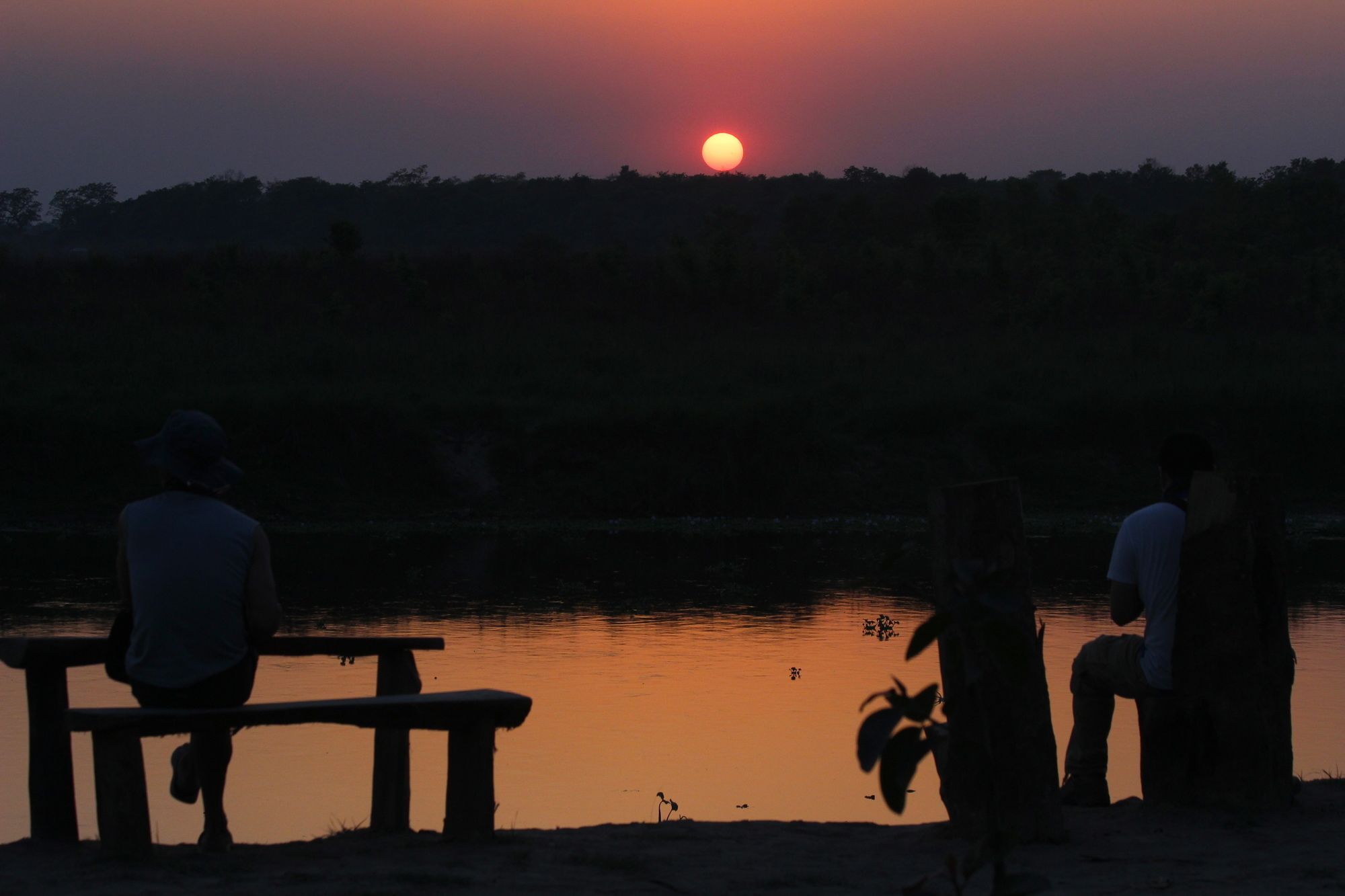 Jungle Sunset Camp Hotel Sauraha Luaran gambar