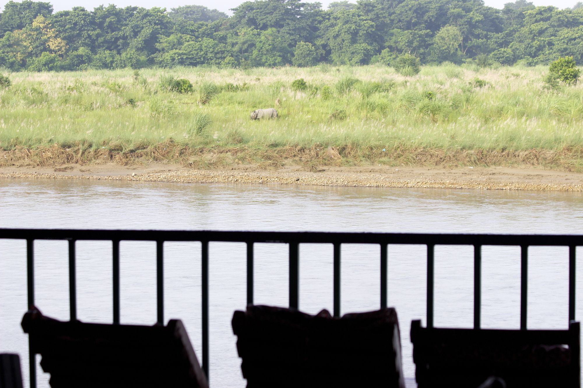 Jungle Sunset Camp Hotel Sauraha Luaran gambar