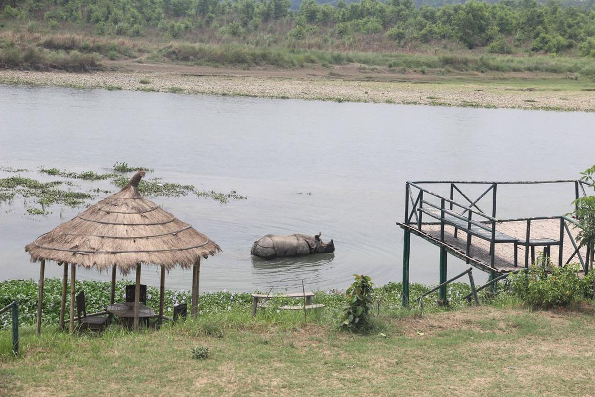 Jungle Sunset Camp Hotel Sauraha Luaran gambar
