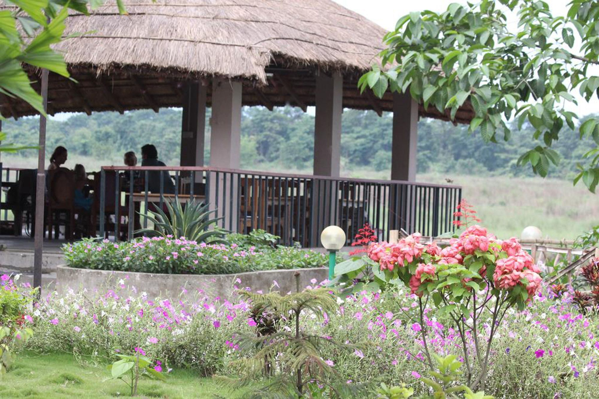 Jungle Sunset Camp Hotel Sauraha Luaran gambar